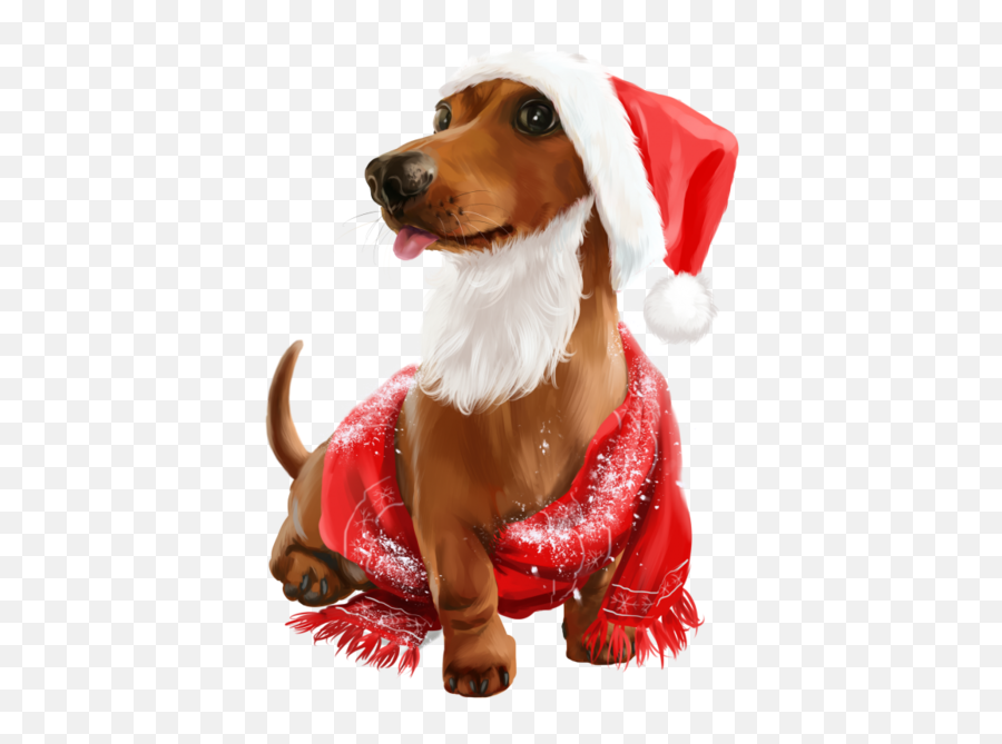 Pin - Cute Dogs Christmas Png,Dog And Cat Png