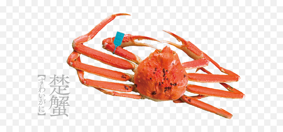 Crab In Kanazawa Seafood - Kanazawa Crab Png,Crab Transparent