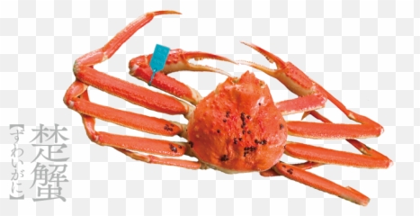 Crab In Kanazawa Seafood - Kanazawa Crab Png,Crab Transparent