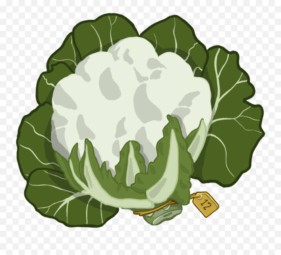 Clipart Transparent - Cauliflower Png,Cauliflower Png