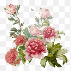 Print And Textile Design U2014 Nghia Ton Png Peonies