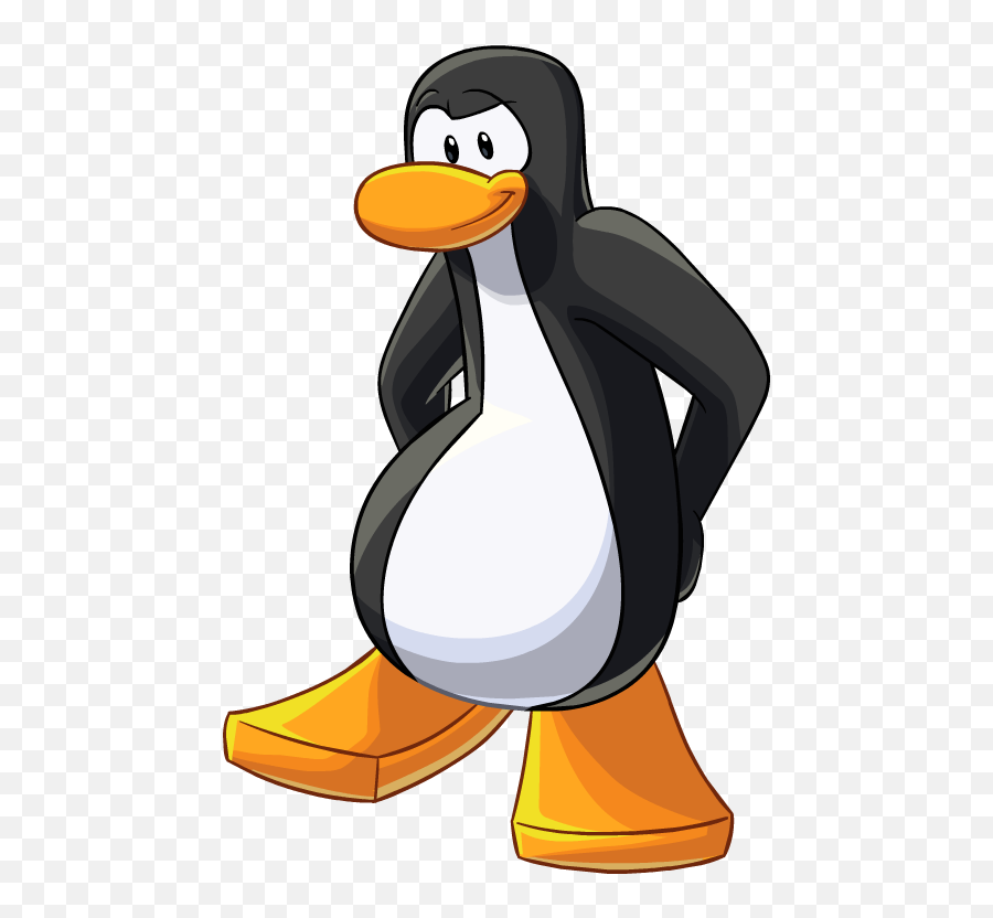 Pinguino Club Penguin Png Clipart - Club Penguin Penguin Png,Club Penguin Png