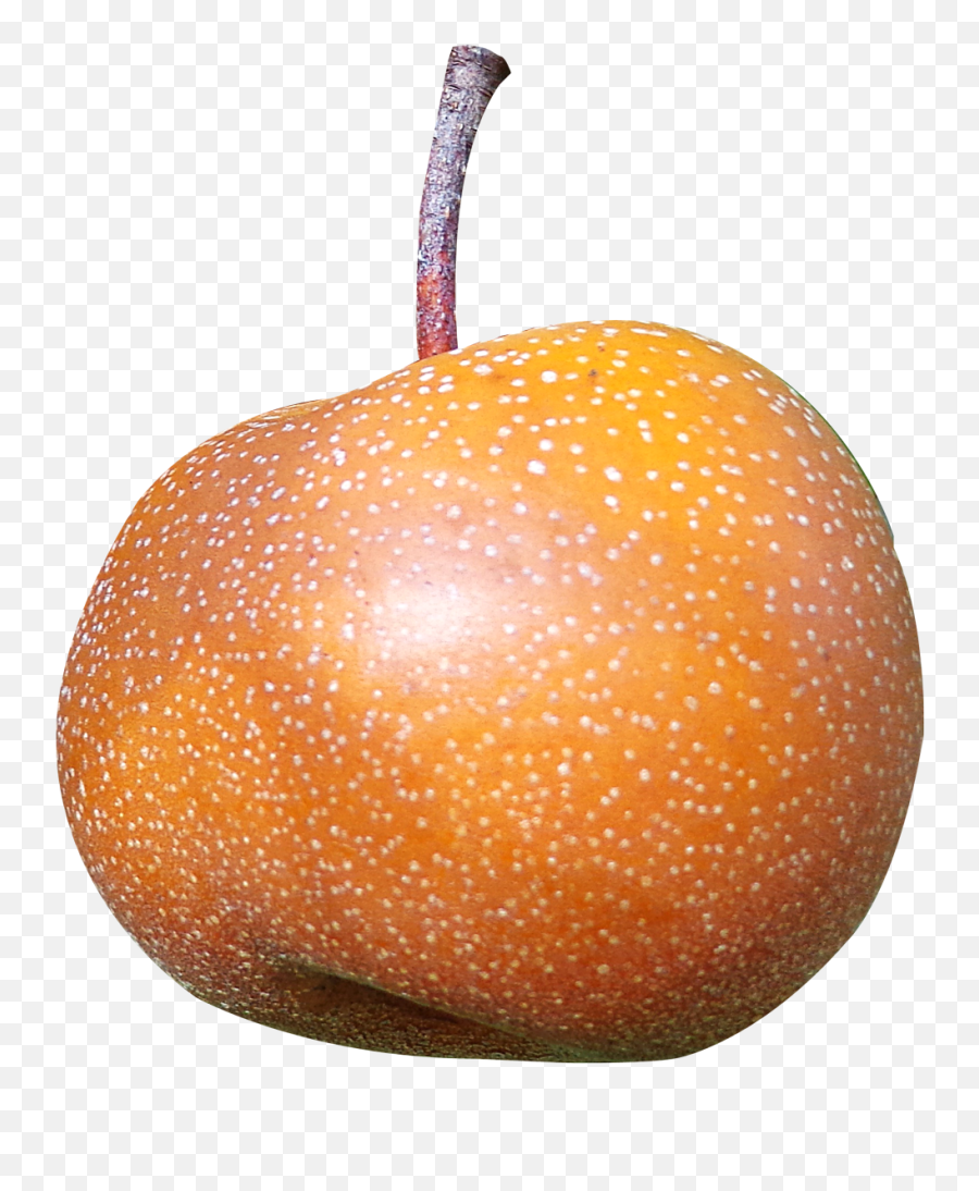 Download Asian Pear Png Image For Free - Asian Pear Png,Asian Png