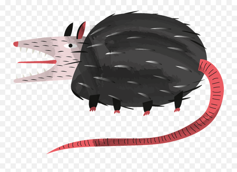 Possum Clipart - Illustration Png,Possum Transparent