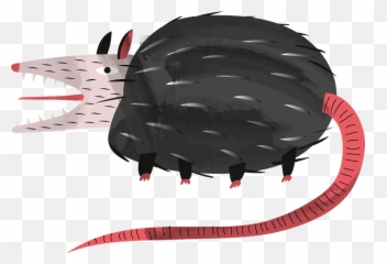 Possum Clipart - Illustration Png,Possum Transparent