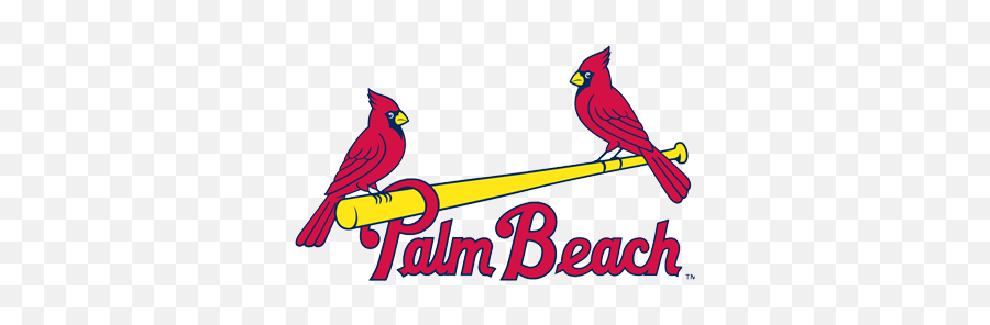 Palm Beach Cardinals Gopbcardinals Twitter - Palm Beach Cardinals Logo Png,Twitter Bird Transparent