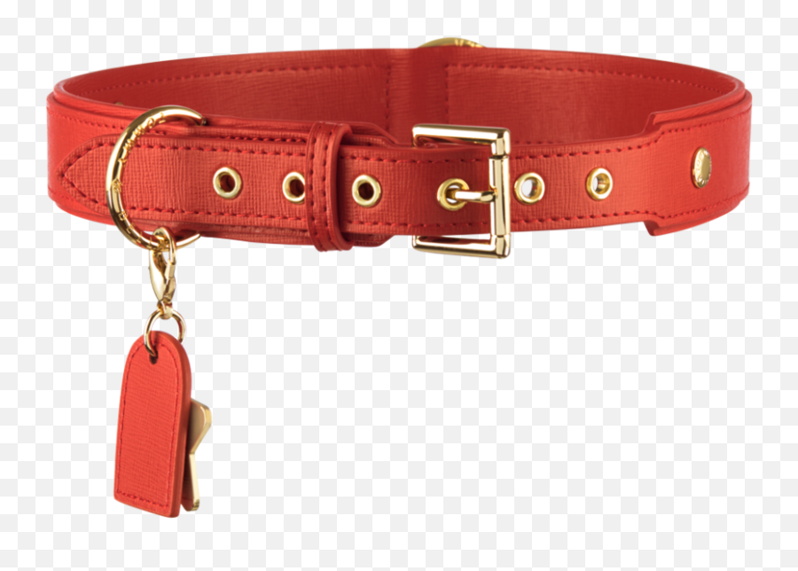 Red Dog Paw Png - Buckle,Dog Paw Png