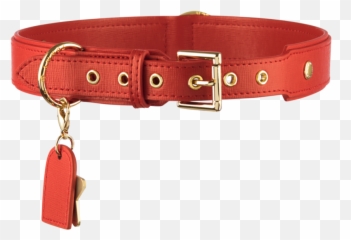 Red Dog Paw Png - Buckle