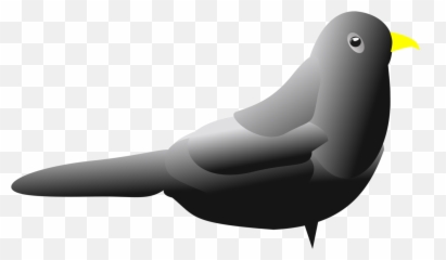 Flightless Birdwater Birdwalrus Png Clipart - Royalty Free Birds,Walrus Png