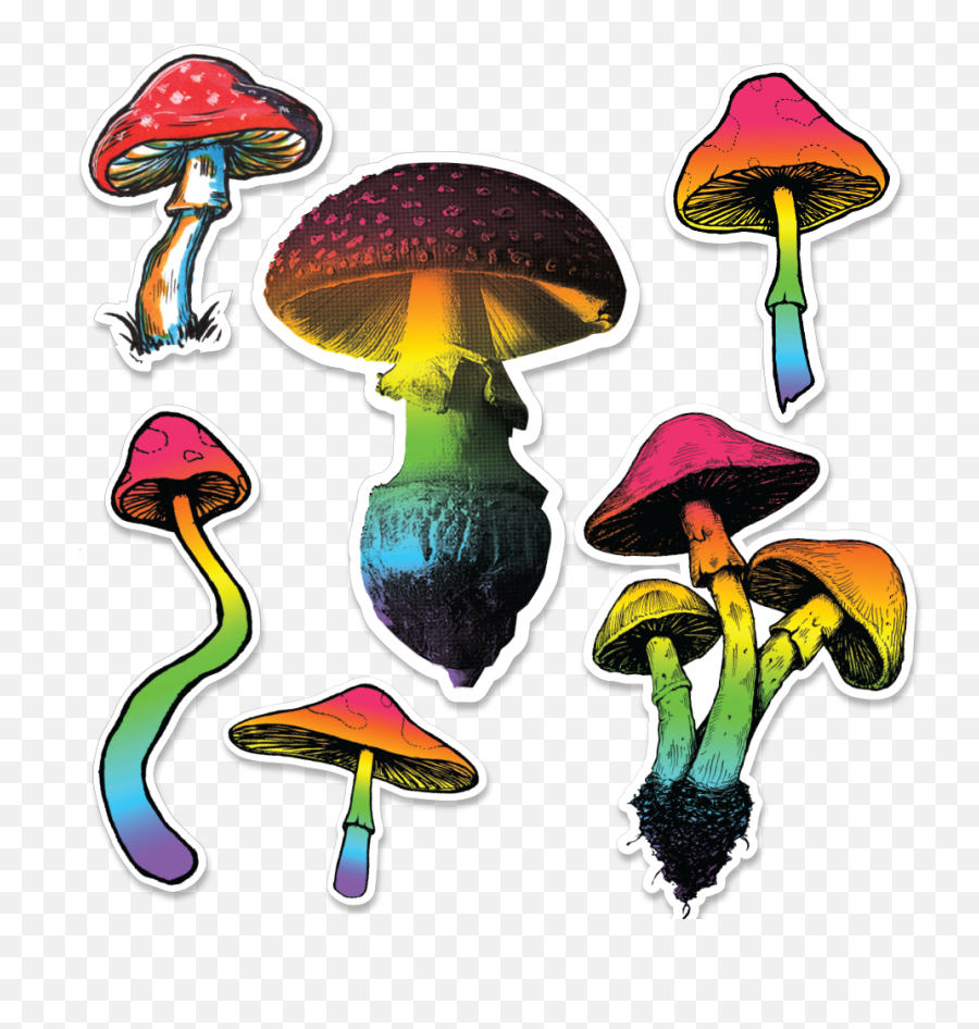 Trippy Summer Sticker Pack - Wild Mushroom Png,Trippy Png
