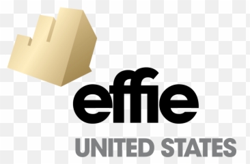 Spectrum Reach Insites Mediavillage - Effie Awards png