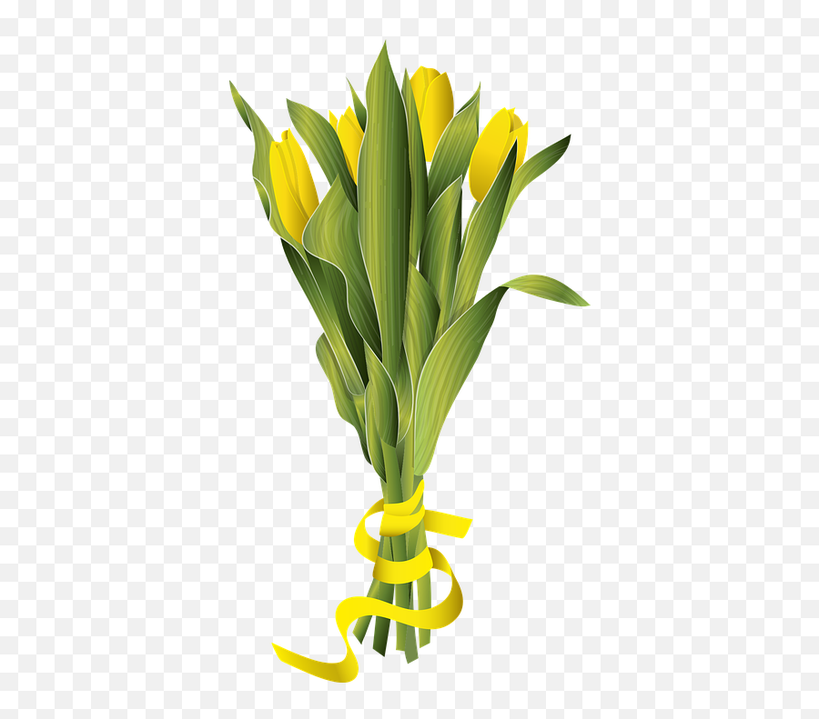 Tulip Tulips Spring Flower Flowers - Free Vector Graphic On Fresh Png,Spring Flower Png