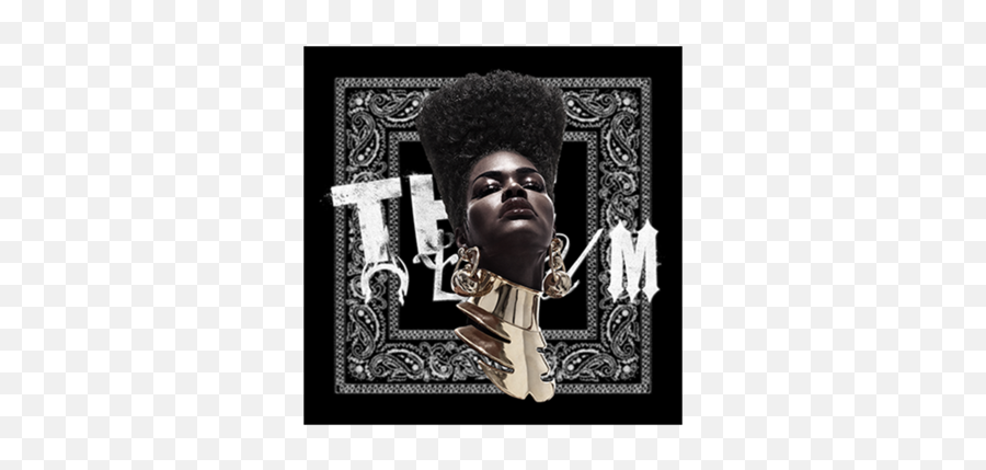 The Album Black Bandana - Hair Design Png,Black Bandana Png