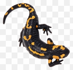 Lizard Png Image Web Icons - Salamandra Png