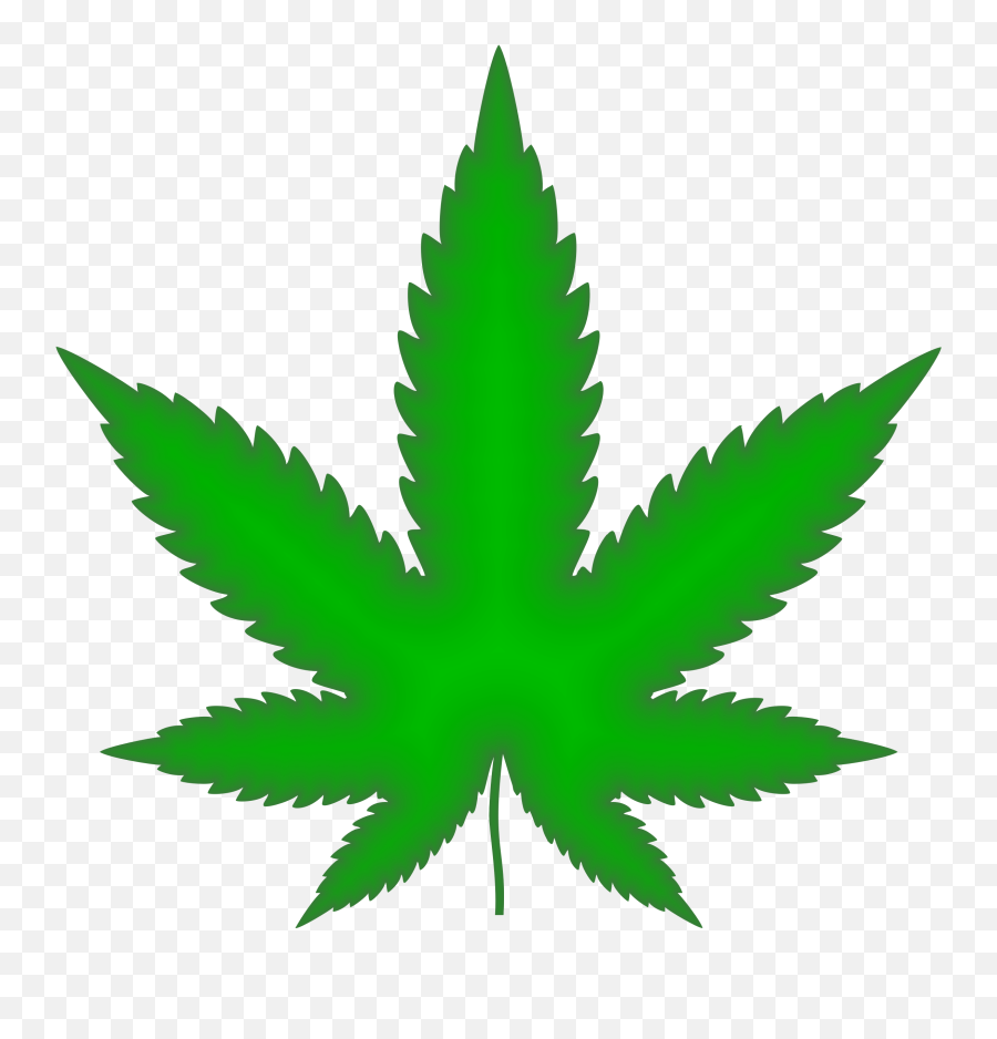Marijuana Leaf Green Png Weed - Marijuana Png,Marijuana Plant Png