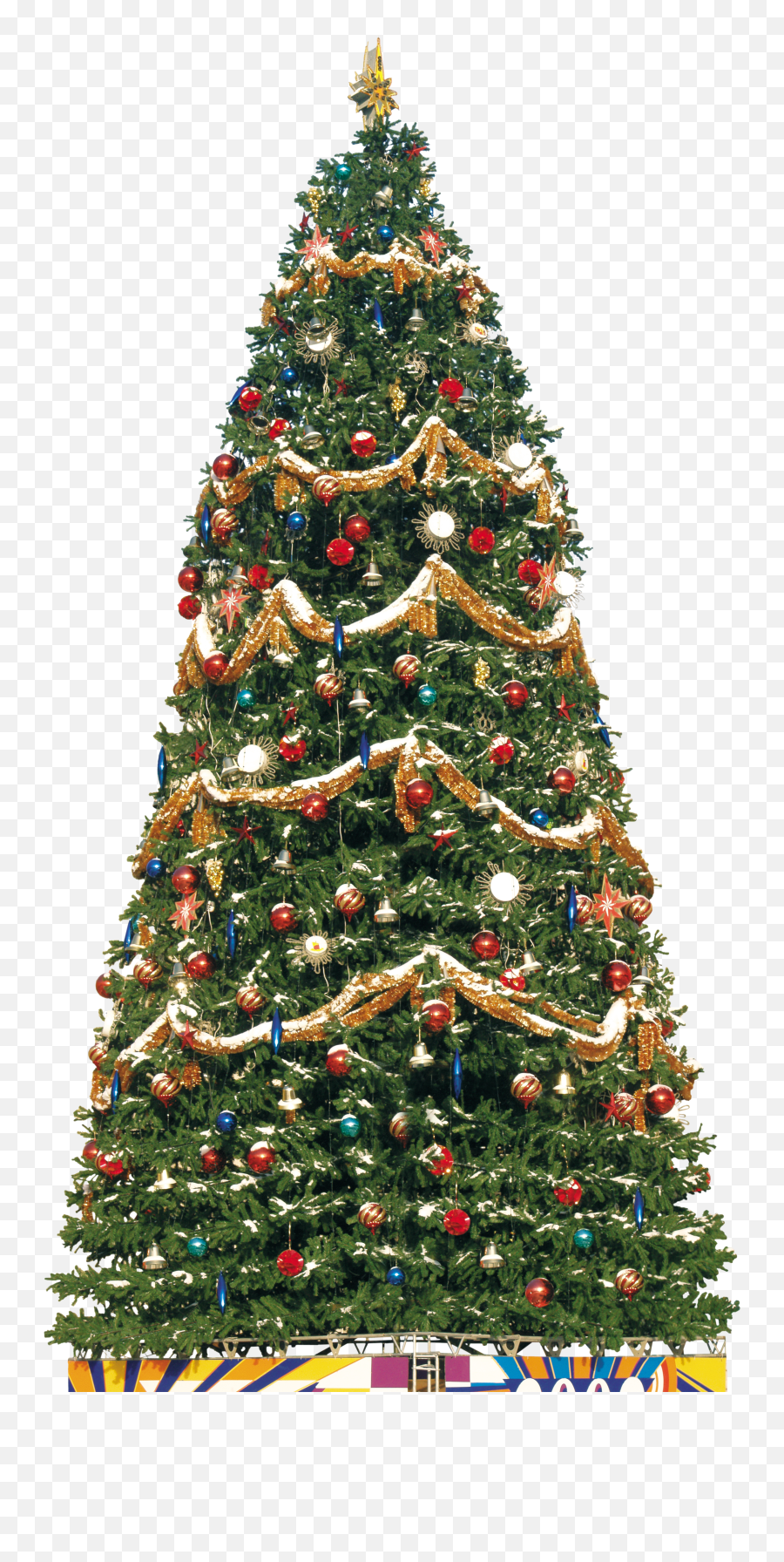 Traditional Christmas Tree Png Image - Transparent Big Christmas Tree Png,Big Tree Png