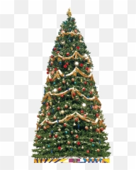 Traditional Christmas Tree Png Image - Transparent Big Christmas Tree Png,Big Tree Png