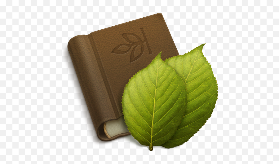 Apple Mac Ipad Iphone Tutorials From Png Family Tree Icon