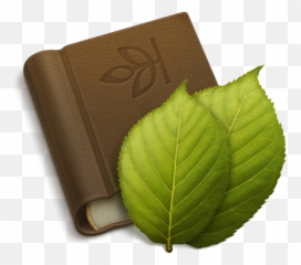 Apple Mac Ipad Iphone Tutorials From Png