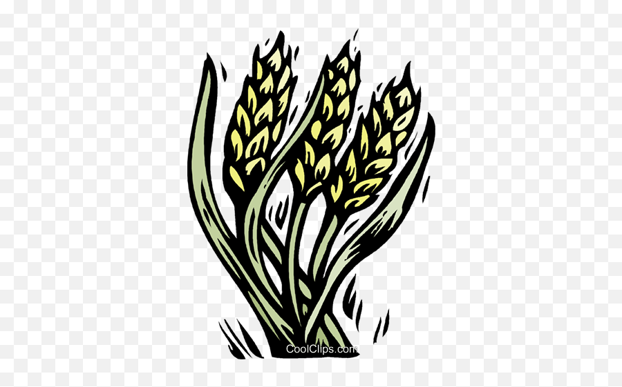 Grain Woodcut Style Royalty Free Vector Clip Art - Language Png,Wheat Icon Vector