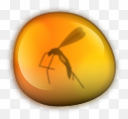 Amber Smalltalk - Wikipedia Mosquito Ambar Png
