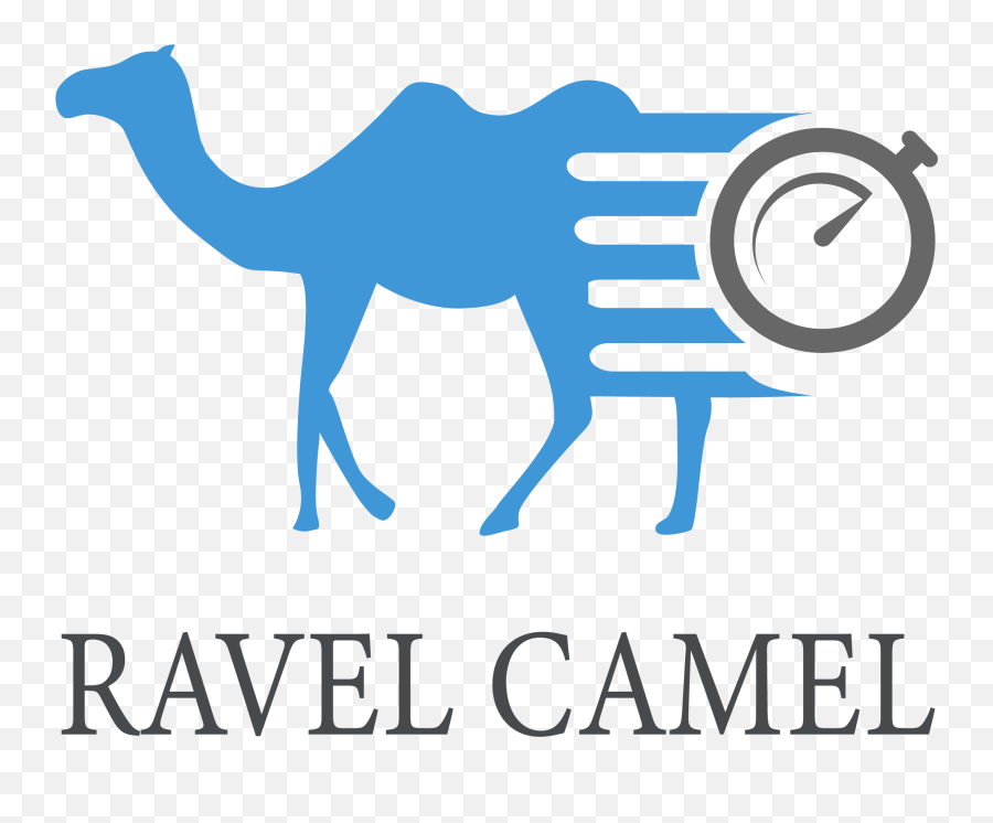 Reusable Magical Nano Tape - Arabian Camel Png,Camel Logo