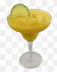 Mexican Gator Png