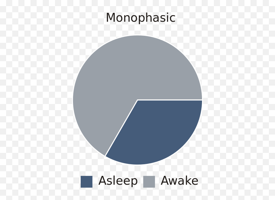 Anything Showing How Batman Pulls Those All Nighters Rbatman - Monophasic Sleep Cycle Png,Ben Whishaw Icon Tumblr