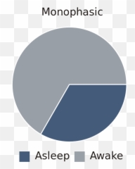 Anything Showing Batman Pulls Those All Nighters Rbatman - Monophasic Sleep Cycle png