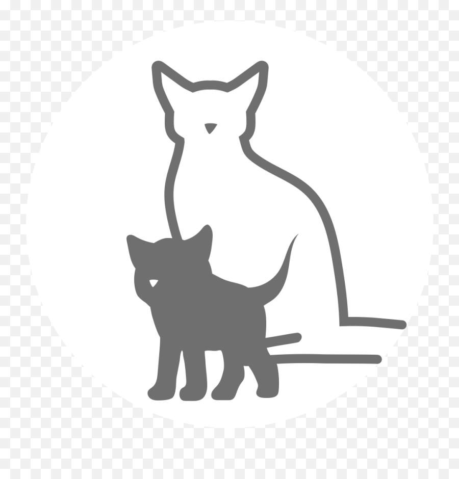 Catu0027s Best Comfort - Cat Png,Cat Silhouette Icon