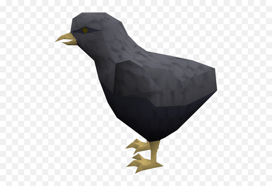 Raven - The Runescape Wiki Clip Art Images Of Crow Chicks Png,Raven Png