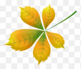 Autumn Leaves Skeleton Leaf - Free image Pixabay png