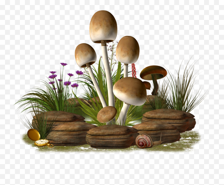 Download - Mushroom Png,Mushroom Png