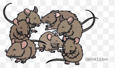 Seven Mice Illustration - Rat Png,Mice Png