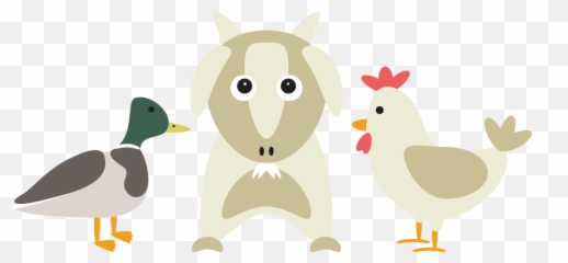 Duck U0026 Chicken Feed Treats Supplements U2014 Sellwood Pet Supply - Mallard Png,Duck Cartoon Png