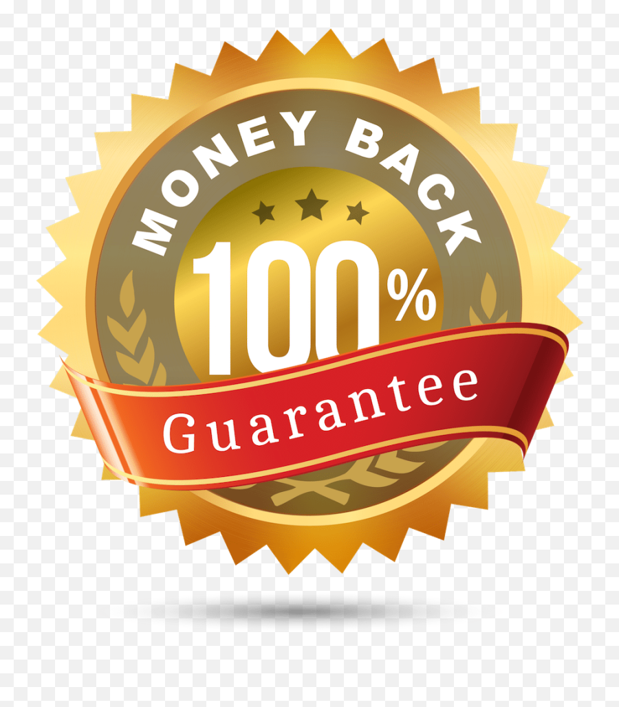 100 Money Back Guarantee Png - 6 Month Warranty Logo,Money Back Guarantee Png