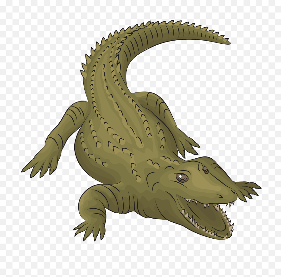 Nile Crocodile Clipart - Crocodile Clipart Png,Aligator Png