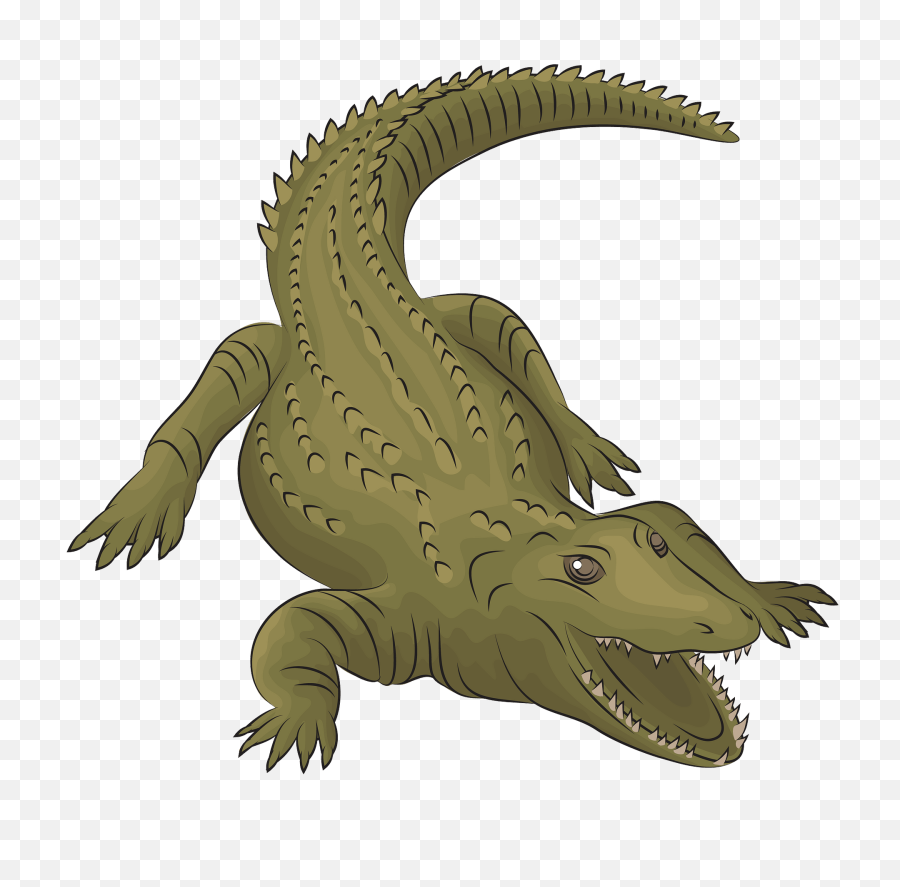 clip art crocodile