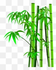 Png Background - Bamboo Tree Cartoon