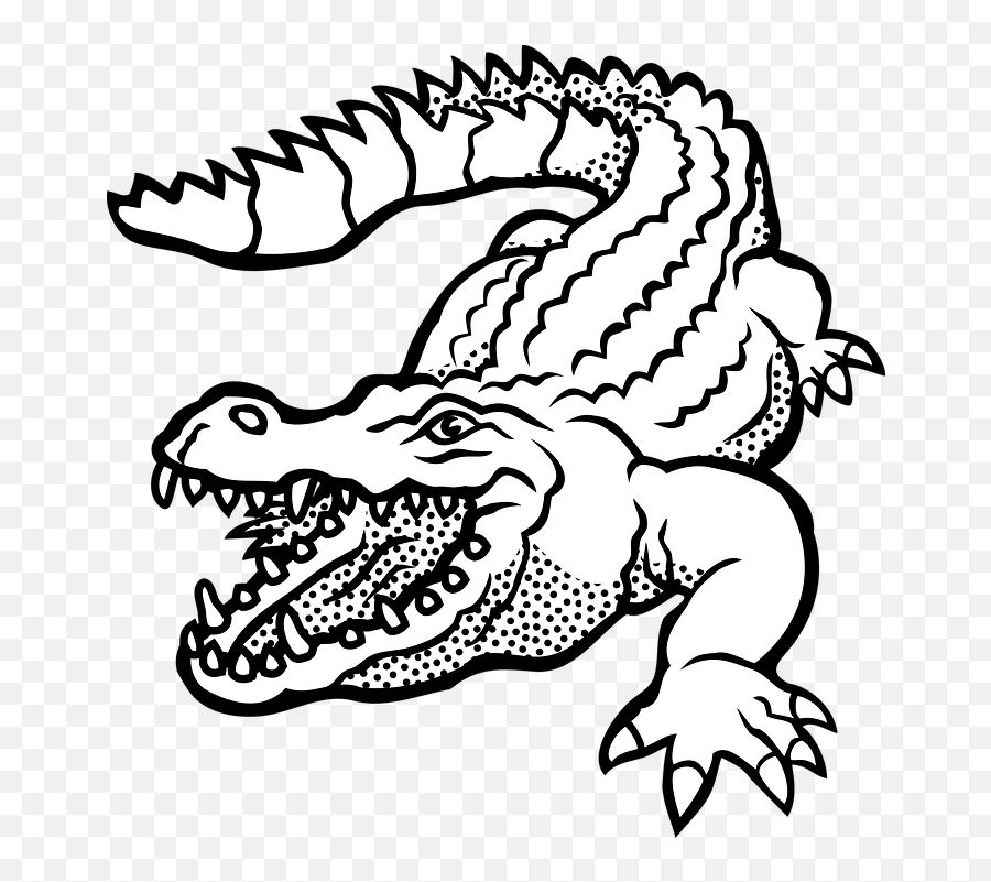 Png Crocodile Black And White - Crocodile Line Art,Crocodile Png