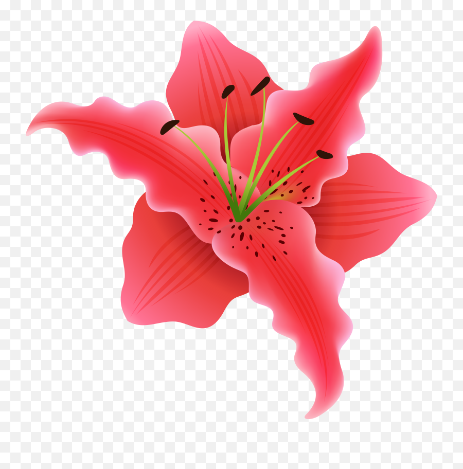 Download Free Png Beautiful Exotic Flower Clipart Image - Flower,Lily Flower Png