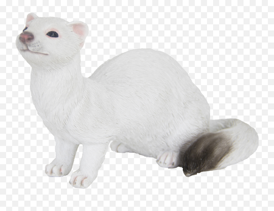 Stoat - Esschert Design Ferret Png,Weasel Png