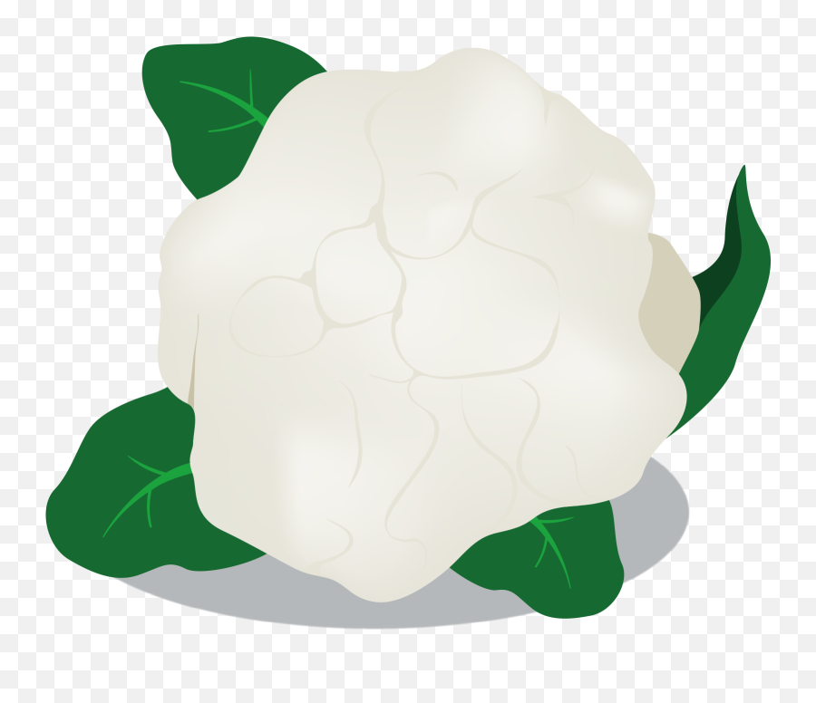 Different Vegetables Png Transparent - Tortoise,Cauliflower Png