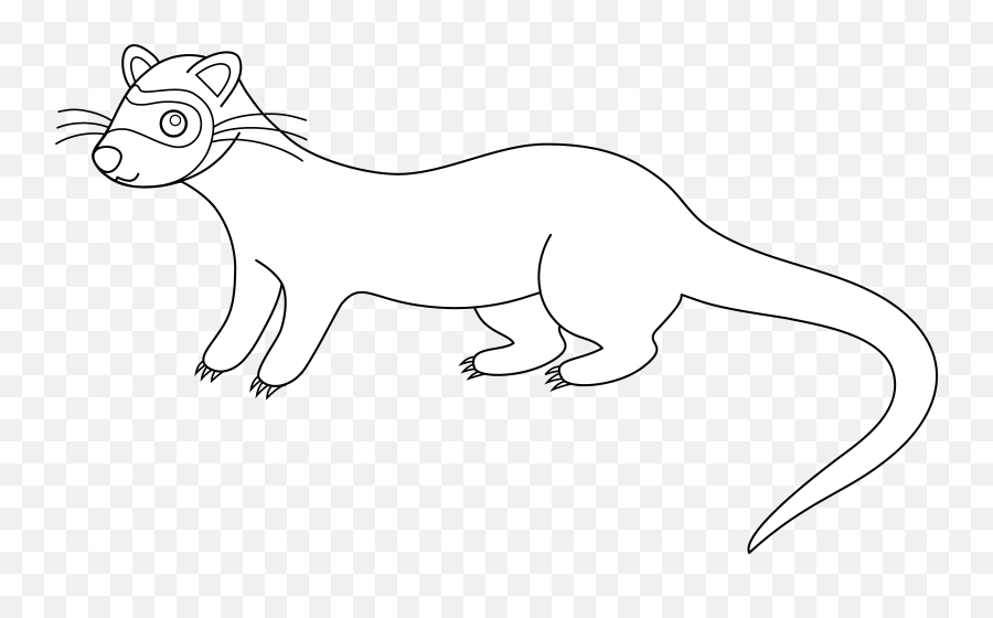 Download Ferret Clipart Transparent - Royaltyfree Full Black Footed Ferret Drawing Outline Png,Ferret Png