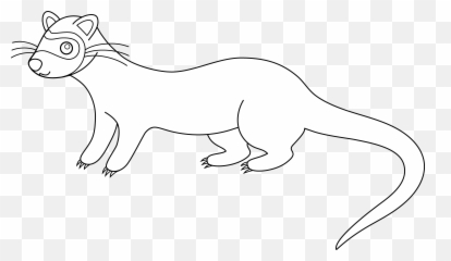 Download Ferret Clipart Transparent - Royaltyfree Full Black Footed Ferret Drawing Outline Png,Ferret Png