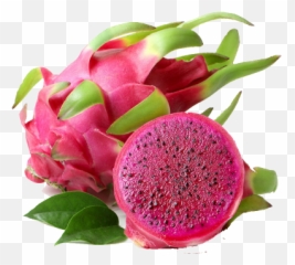 Fresh Dragon Fruit - Pitahaya Transparent Dragon Fruit Png,Dragonfruit Png