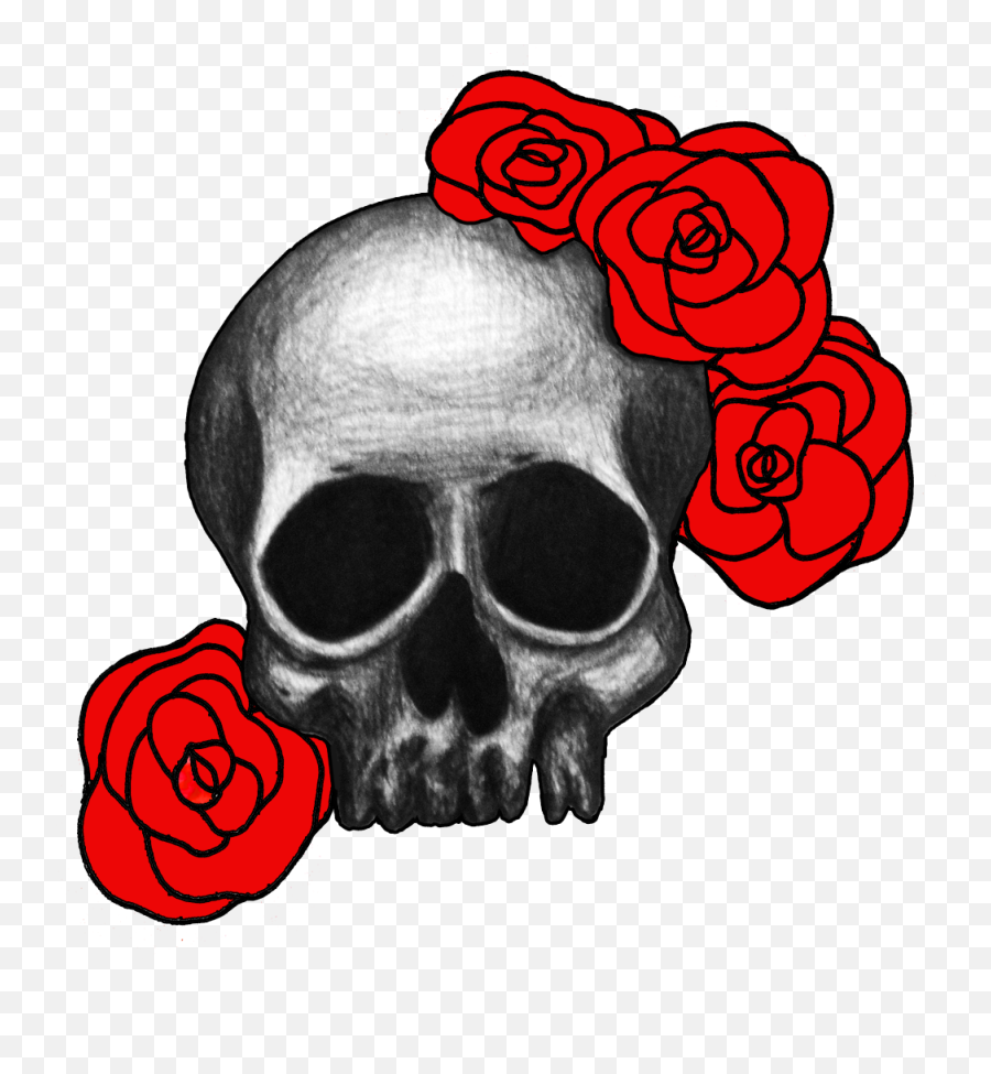 Drawing Items Skull Transparent U0026 Png Clipart Free Download - Rose On Skull Png,Red Skull Png