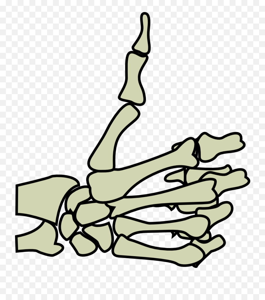 Skeleton Hand - Skeleton Thumbs Up Png,Skeleton Hand Png