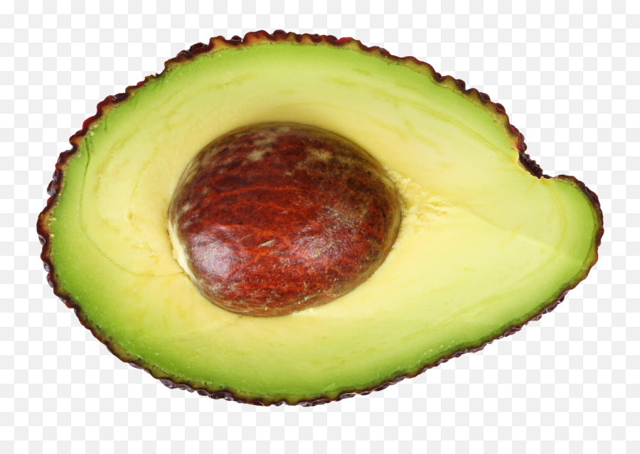 Download Avocado Transparent Png - Avocado Half,Avocado Transparent