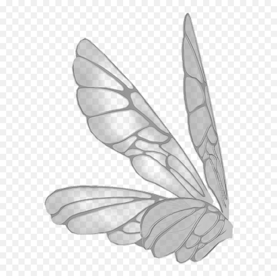 Download Wings Butterflywings Butterfly - Fairy Wings Side View Png,Fairy Wings Png